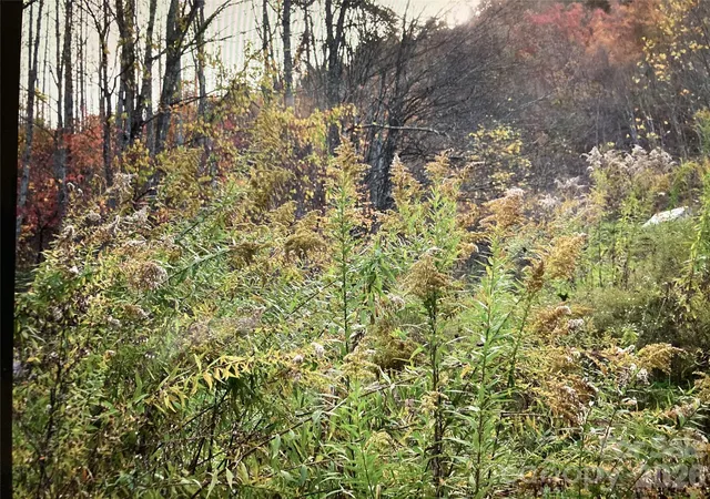 5th image of 0 Prices Creek Rd, Burnsville, NC 28714 | MLS# 4385780