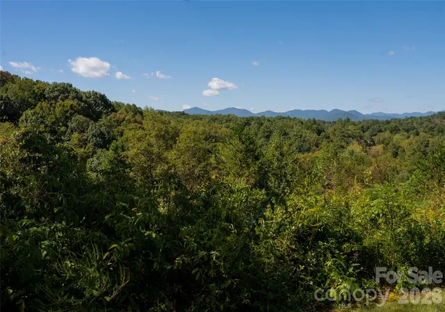 5th image of 68 Sweet Fern Pkwy, Asheville, NC 28804 | MLS# 4385832