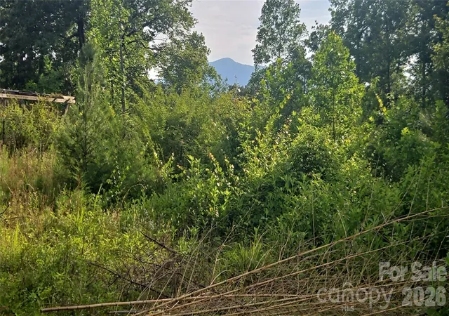 46th image of 00 Misery Ridge Trl, Mill Spring, NC 28756 | MLS# 4385906