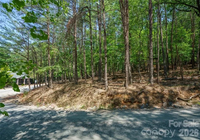 11th image of 0000 View Trl, Lake Lure, NC 28746 | MLS# 4385928