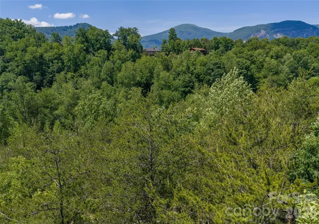 3rd image of 0000 View Trl, Lake Lure, NC 28746 | MLS# 4385928