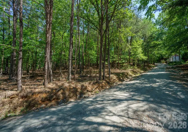 4th image of 0000 View Trl, Lake Lure, NC 28746 | MLS# 4385928