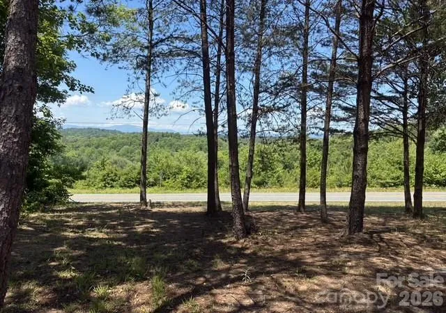5th image of 1431 Mountain Creek Rd, Rutherfordton, NC 28139 | MLS# 4386006