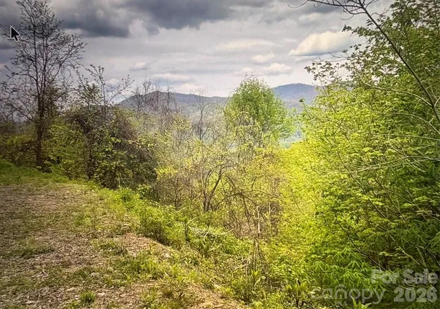 Homes for sale in Bryson City, NC | 0 Huckleberry Walk #61, Bryson City, NC 28713 | MLS# 4386016