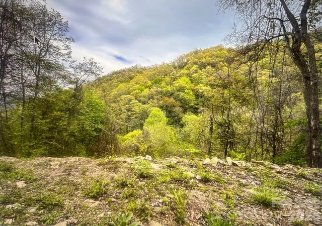 Homes for sale in Bryson City, NC | 0 Huckleberry Walk #61, Bryson City, NC 28713 | MLS# 4386016