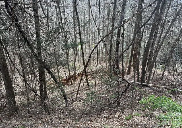 Photo 3 of Land for sale at 0 Tuckaway Ridge Dr, Hendersonville, NC 28792 | MLS# 4386054 | Listing updated on 2026-05-26