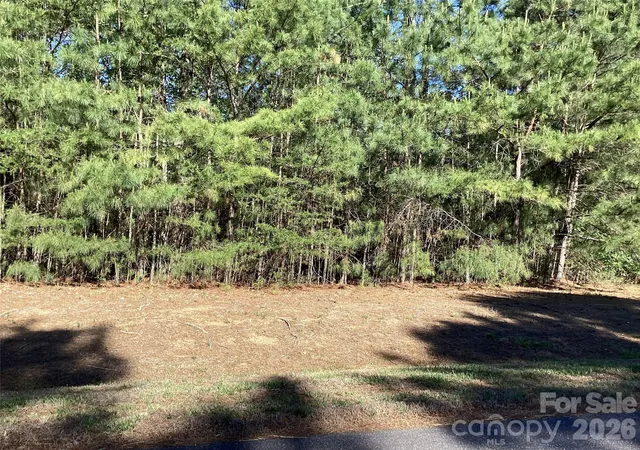 1st image of 307 Twin Cove Dr #125, Connelly Springs, NC 28612 | MLS# 4386137