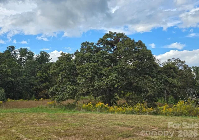 1st image of 000 Cook Ln #24.87 Acres, Mills River, NC 28759 | MLS# 4386182