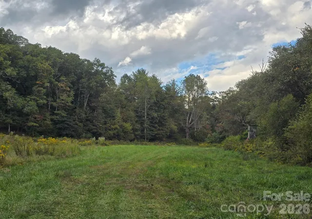 2nd image of 000 Cook Ln #24.87 Acres, Mills River, NC 28759 | MLS# 4386182
