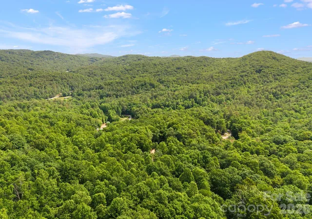 8th image of 145 Hickory Tree Ln, Hendersonville, NC 28739 | MLS# 4386279