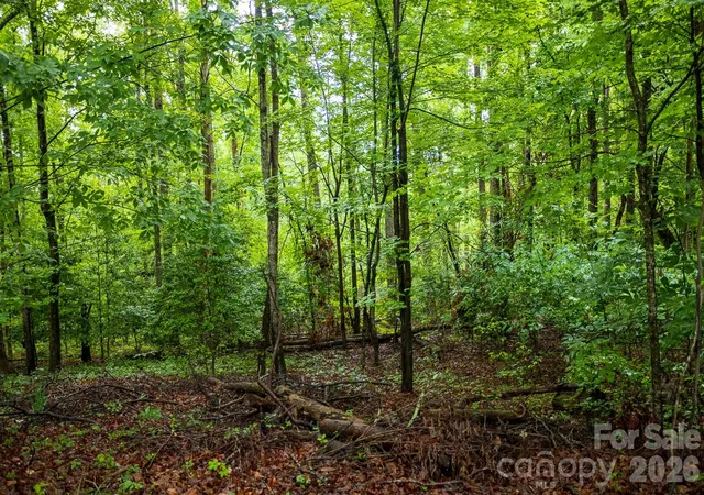 Photo 2 of Single family home for sale at 1225 Moss Rd, Rutherfordton, NC 28139 | MLS# 4386364 | Listing updated on 2026-09-08