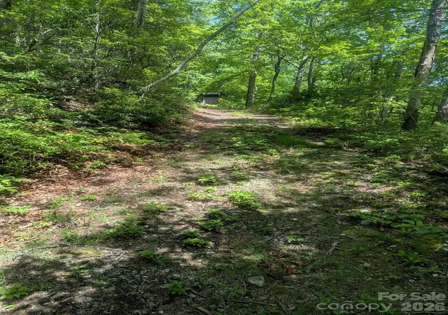 Photo 3 of Land for sale at 1662 Penley Rd, Lenoir, NC 28645 | MLS# 4386482 | Listing updated on 2026-10-08