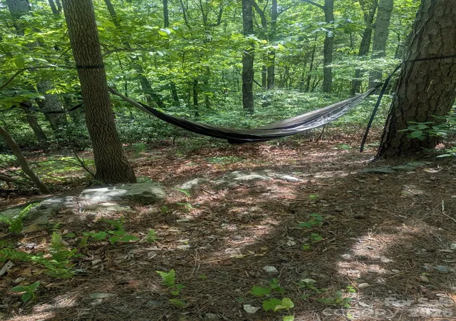 Photo 3 of Land for sale at 1662 Penley Rd, Lenoir, NC 28645 | MLS# 4386482 | Listing updated on 2026-10-08