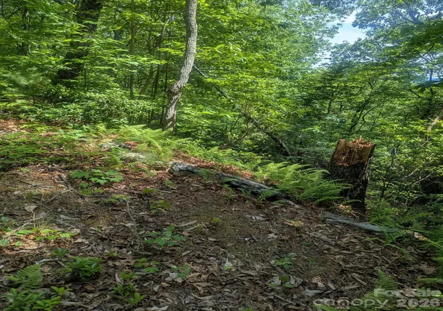 Photo 4 of Land for sale at 1662 Penley Rd, Lenoir, NC 28645 | MLS# 4386482 | Listing updated on 2026-10-08