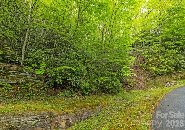 Homes for sale in Sapphire, NC | Tbd Hickory Shaft Dr, Sapphire, NC 28774 | MLS# 4386562