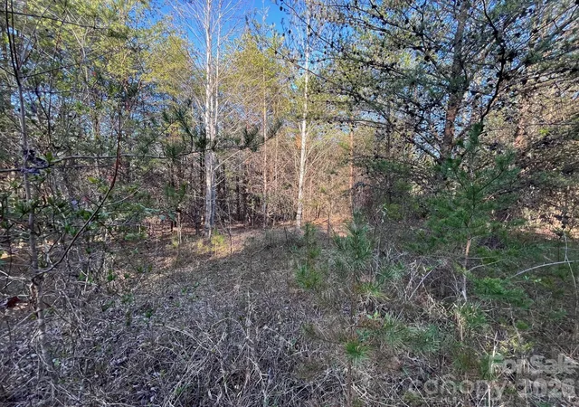 Homes for sale in Nebo, NC | Tbd Southern Wy, Nebo, NC 28761 | MLS# 4386678