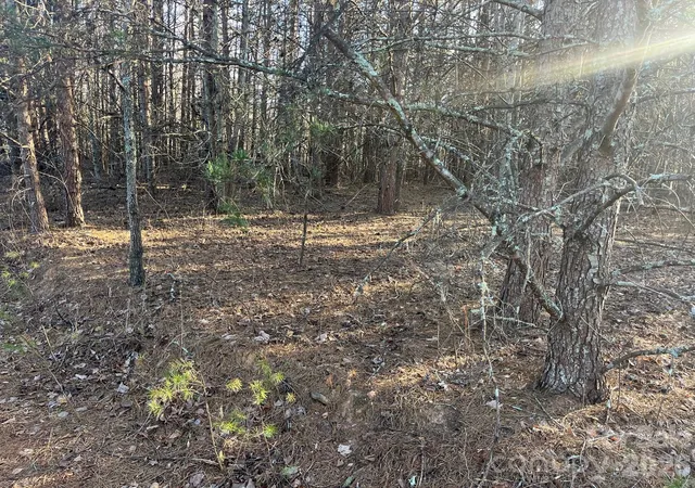 Homes for sale in Nebo, NC | Tbd Southern Wy, Nebo, NC 28761 | MLS# 4386678