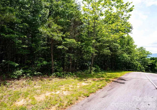 15th image of 288 Eastman Pl, Mill Spring, NC 28756 | MLS# 4386718