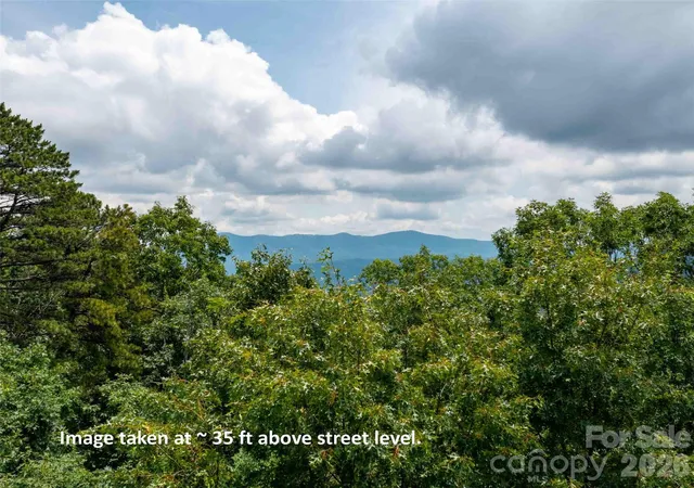 3rd image of 288 Eastman Pl, Mill Spring, NC 28756 | MLS# 4386718