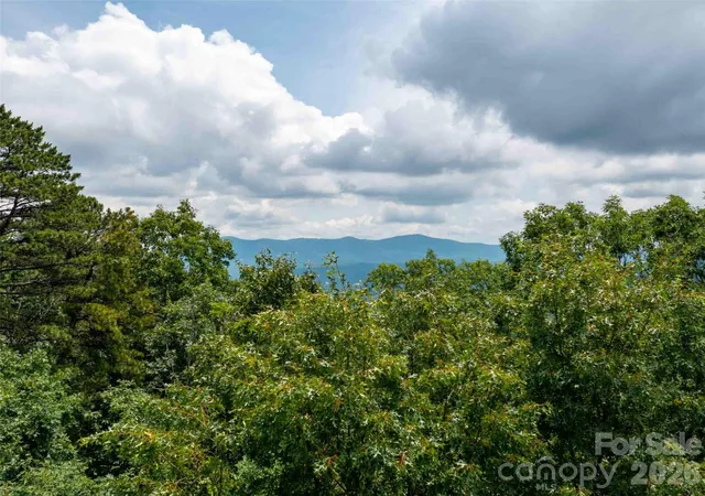 5th image of 288 Eastman Pl, Mill Spring, NC 28756 | MLS# 4386718