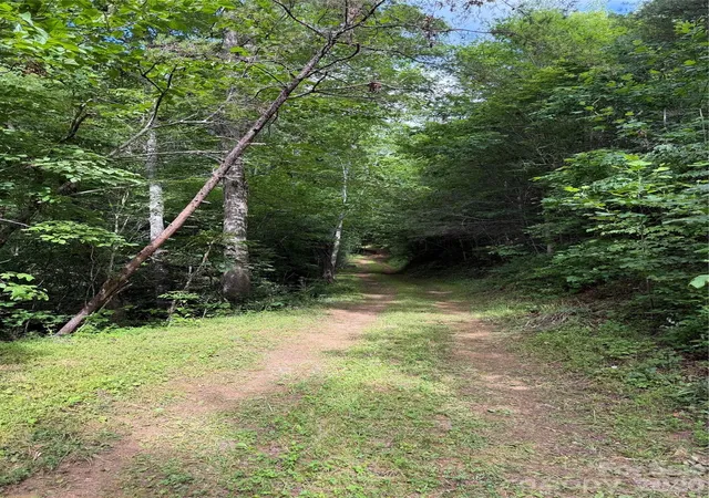 Homes for sale in Old Fort, NC | Lot 10 Parker Padgett Rd, Old Fort, NC 28762 | MLS# 4386990