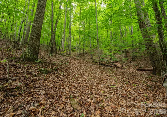 4th image of 68 Long Ridge Rd, Candler, NC 28715 | MLS# 4387076