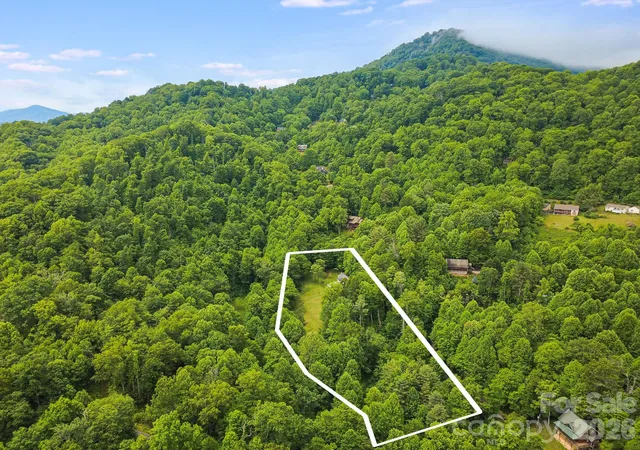 Homes for sale in Waynesville, NC | 100 Woven Cloud Ln, Waynesville, NC 28785 | MLS# 4387086