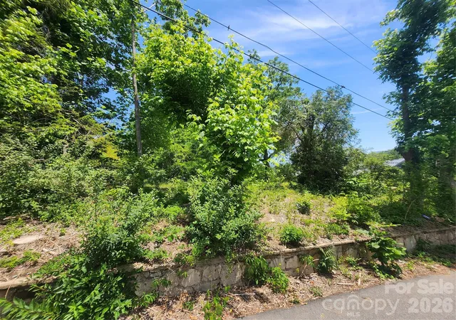 Photo 3 of Land for sale at 11 Weaver Hl Rd, Asheville, NC 28805 | MLS# 4387124 | Listing updated on 2026-10-03