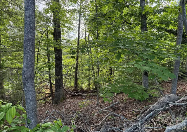 Photo 3 of Land for sale at 53 Will Rd #2, Hendersonville, NC 28792 | MLS# 4387127 | Listing updated on 2026-07-14