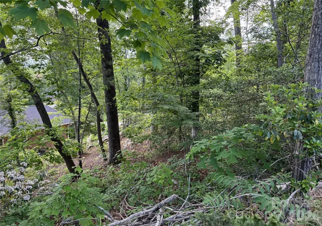 Photo 3 of Land for sale at 53 Will Rd #2, Hendersonville, NC 28792 | MLS# 4387127 | Listing updated on 2026-07-14