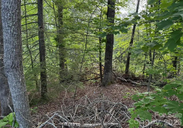 Photo 4 of Land for sale at 53 Will Rd #2, Hendersonville, NC 28792 | MLS# 4387127 | Listing updated on 2026-07-14