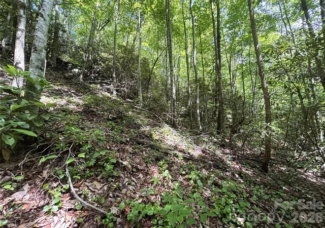 Photo 3 of Land for sale at 000 Valley View Dr, Maggie Valley, NC 28751 | MLS# 4387201 | Listing updated on 2026-06-01