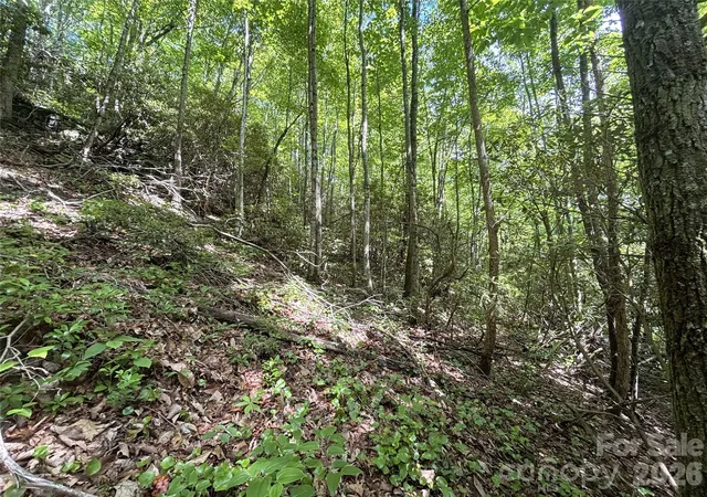 Photo 4 of Land for sale at 000 Valley View Dr, Maggie Valley, NC 28751 | MLS# 4387201 | Listing updated on 2026-06-01