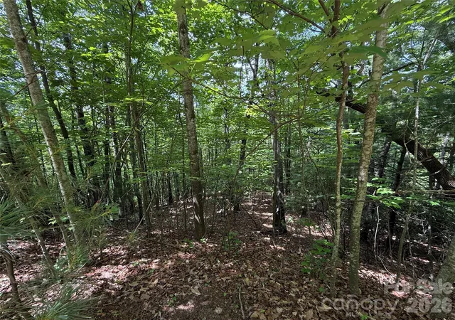 Homes for sale in Purlear, NC | Tbd Warren Wy #132A, Purlear, NC 28665 | MLS# 4387214