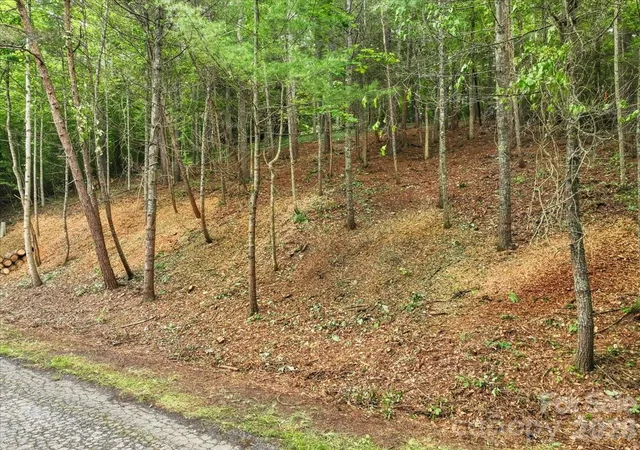 3rd image of Lot 29 Hampton Ln, Weaverville, NC 28787 | MLS# 4387407