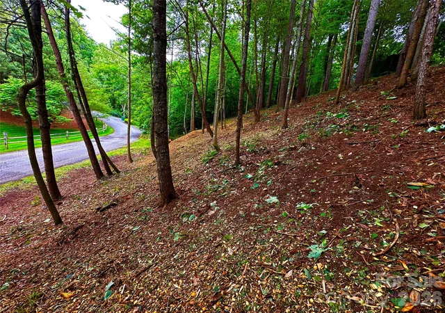 5th image of Lot 29 Hampton Ln, Weaverville, NC 28787 | MLS# 4387407