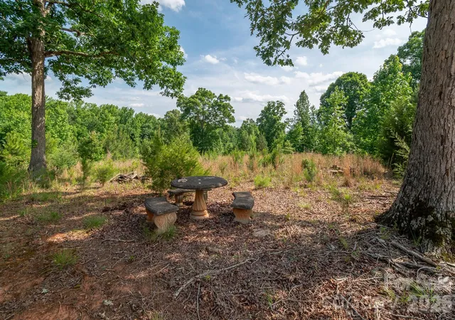 5th image of 8706 Tirzah Church Rd, Waxhaw, NC 28173 | MLS# 4387494