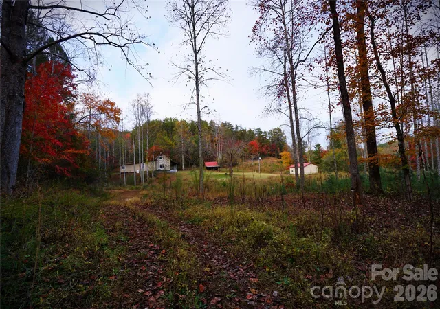 Photo 3 of Single family home for sale at 1239 W Mcguinn Rd, Mill Spring, NC 28756 | MLS# 4387532 | Listing updated on 2026-10-28