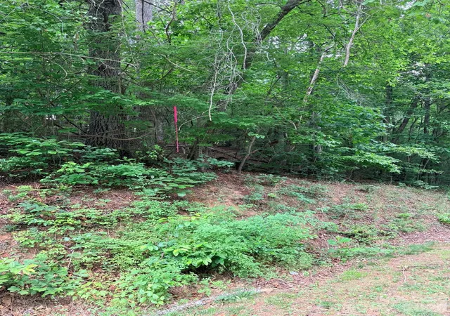 Photo 1 of Land for sale at Tbd N Marley Frd Rd, Ferguson, NC 28624 | MLS# 4387563 | Listing updated on 2026-06-19