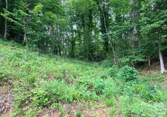 Photo 2 of Land for sale at Tbd N Marley Frd Rd, Ferguson, NC 28624 | MLS# 4387563 | Listing updated on 2026-06-19