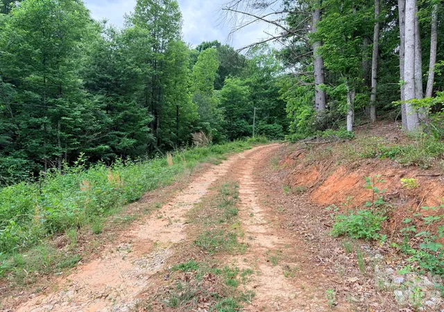 Photo 3 of Land for sale at Tbd N Marley Frd Rd, Ferguson, NC 28624 | MLS# 4387563 | Listing updated on 2026-06-19