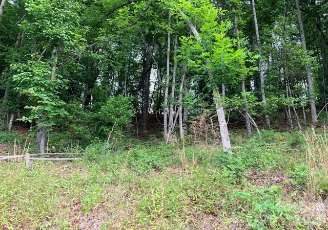 Photo 4 of Land for sale at Tbd N Marley Frd Rd, Ferguson, NC 28624 | MLS# 4387563 | Listing updated on 2026-06-19