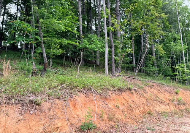 Photo 5 of Land for sale at Tbd N Marley Frd Rd, Ferguson, NC 28624 | MLS# 4387563 | Listing updated on 2026-06-19