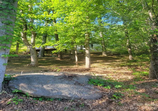 3rd image of 138 Buddy Ln, Chimney Rock, NC 28720 | MLS# 4387684