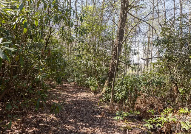 Homes for sale in Highlands, NC | 4419 Flat Mountain Rd, Highlands, NC 28741 | MLS# 4387799