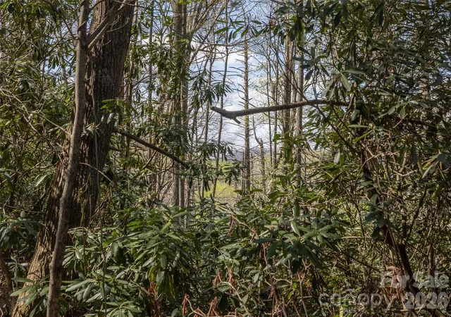 Homes for sale in Highlands, NC | 4419 Flat Mountain Rd, Highlands, NC 28741 | MLS# 4387799