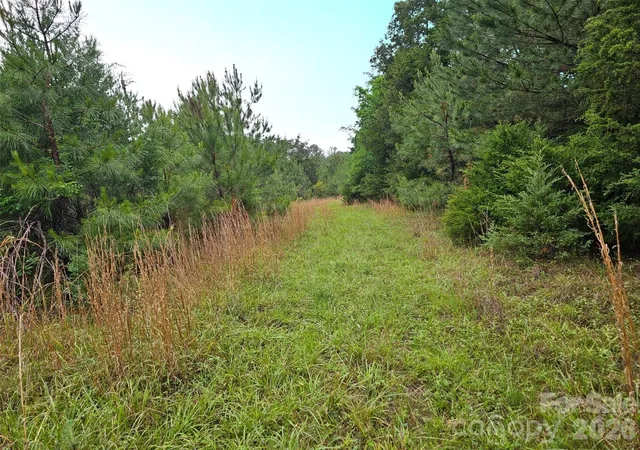 Homes for sale in Fort Lawn, SC | 0000 Shirley Rd, Fort Lawn, SC 29714 | MLS# 4387801