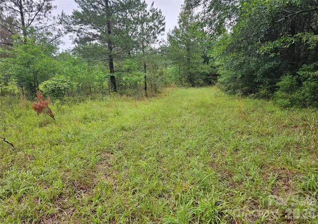 Homes for sale in Fort Lawn, SC | 0000 Shirley Rd, Fort Lawn, SC 29714 | MLS# 4387801