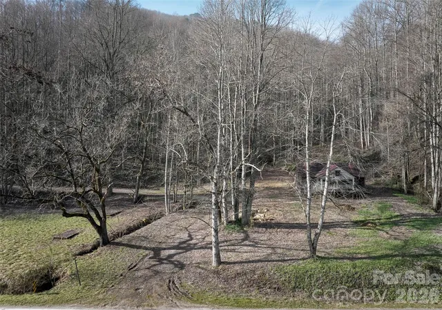 Homes for sale in Bryson City, NC | 14225 Hwy 19 W Hwy W, Bryson City, NC 28713 | MLS# 4387807
