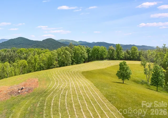 Photo 1 of Land for sale at Tbd California Crk Rd, Mars Hill, NC 28754 | MLS# 4387821 | Listing updated on 2026-08-13